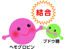 ヘモグロビン・結合・ブドウ糖