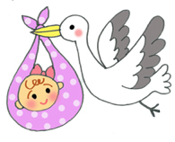 コウノトリ